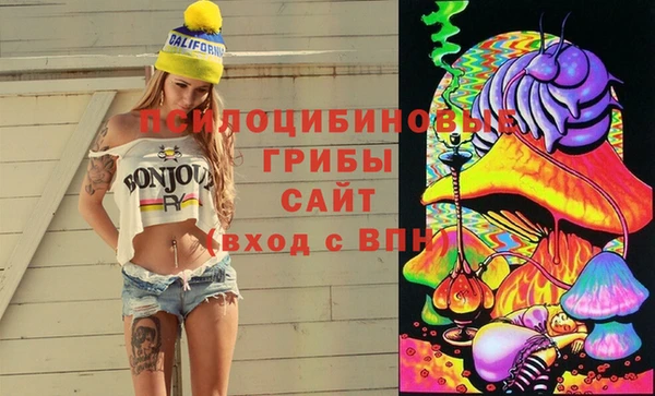 индика Нязепетровск