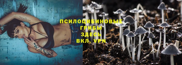 МДПВ Нягань