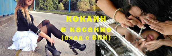 индика Нязепетровск