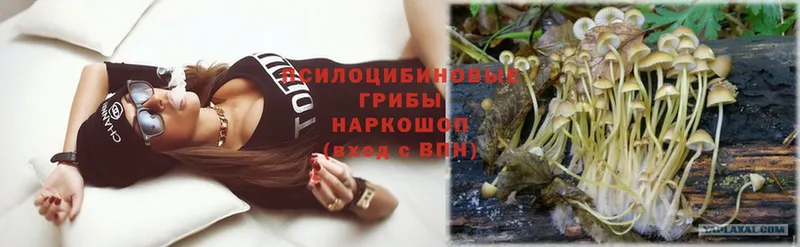 Галлюциногенные грибы Magic Shrooms Киренск